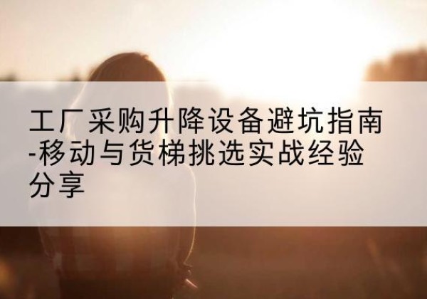 徽县移动式升降机怎么选-工厂采购升降设备避坑指南-移动与货梯挑选实战经验分享