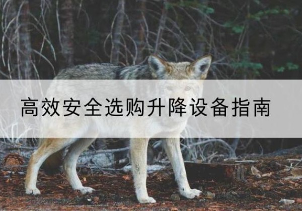 徽县升降货梯厂家推荐-*安全选购升降设备指南