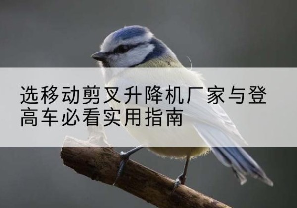 徽县电动升降机厂家-选移动剪叉升降机厂家与登高车必看实用指南