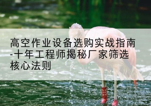徽县剪叉式升降机厂家-高空作业设备选购实战指南-十年工程师揭秘厂家筛选核心法则