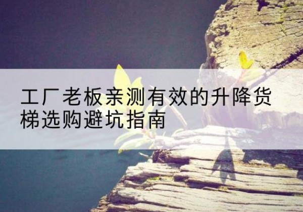 徽县升降货梯怎么选-工厂老板亲测有效的升降货梯选购避坑指南